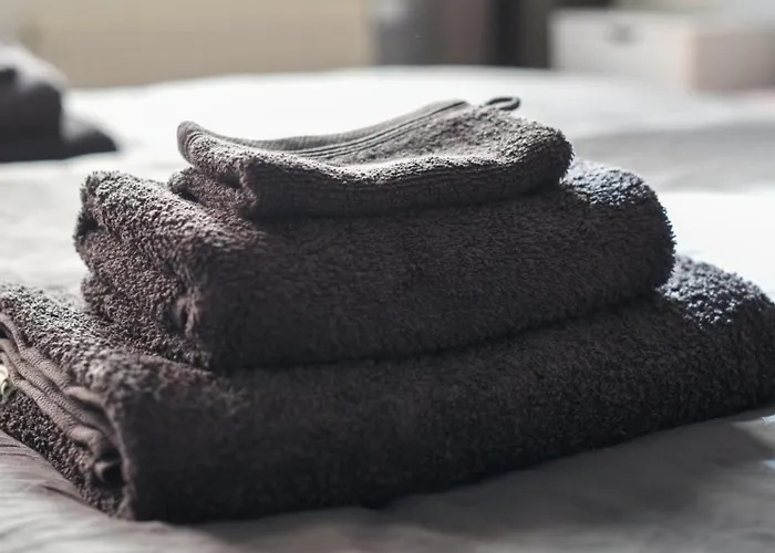 Moderne 2-zimmer-wohnung Mit Wlan & Smart-home * Dresden